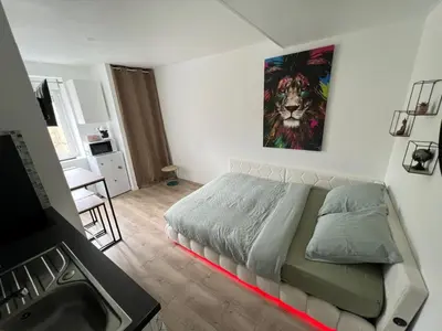 Télévision ou salle de divertissement dans l'établissement le Nook - Studio cosy au Mans