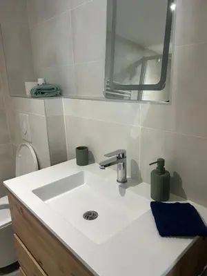Salle de bains dans l'établissement Studio cosy proche d Amboise