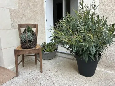Jardin de l'établissement Studio cosy proche d Amboise