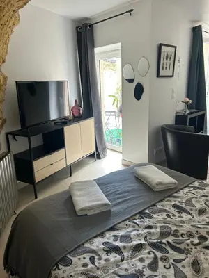 Télévision ou salle de divertissement dans l'établissement Studio cosy proche d Amboise