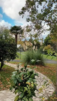 Jardin de l'établissement Les 2 Ginkgos à 5 minutes de Beauval