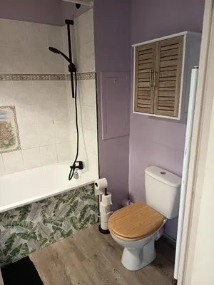 Salle de bains dans l'établissement Grand appartement T2 cosy 4 personnes Proche Tours Centre