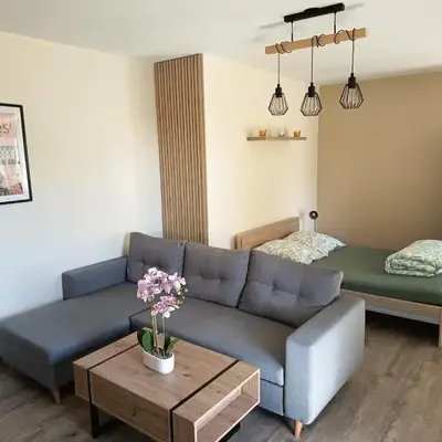 Grand appartement T2 cosy 4 personnes Proche Tours Centre