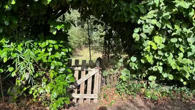Jardin de l'établissement Le Petit Bois d'Amour