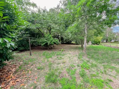Jardin de l'établissement Gîte tout confort avec jardin clos à Pocé-sur-Cisse - FR-1-381-630