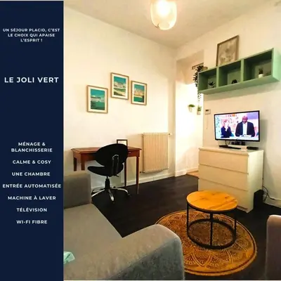 Télévision ou salle de divertissement dans l'établissement Le Joli Vert - T2 - Cosy - Wifi - TV - Lave-linge