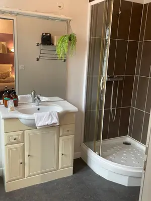 Salle de bains dans l'établissement Le Logis Saumur