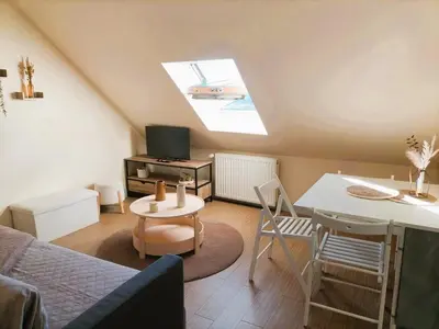 Télévision ou salle de divertissement dans l'établissement Le Saint Georges