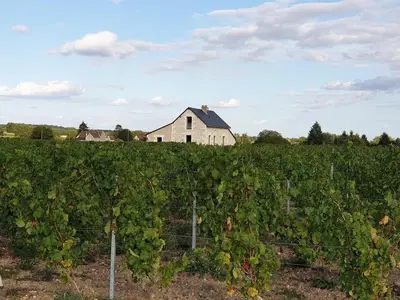 Plan de l'établissement La Petite Loge des Vignes Private Jacuzzi