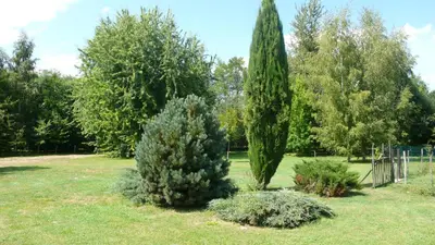 Jardin de l'établissement Hôte Sainte Marie