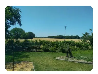 Jardin de l'établissement Appartement Cosy