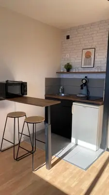 Cuisine ou kitchenette dans l'établissement Studio Bord Loire