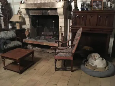 Animal ou animaux domestique(s) séjournant avec des clients dans l'établissement Chateau de Lassay - Charming castle for rent in Sarthe