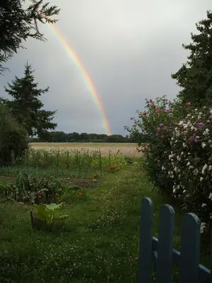 Jardin de l'établissement Chez laurette