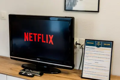 Télévision ou salle de divertissement dans l'établissement L'Ernest -Jardin Privatif - Netflix