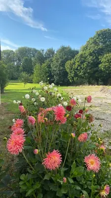 Jardin de l'établissement Le Refuge 50m2 - Logement avec jardin près de Blois