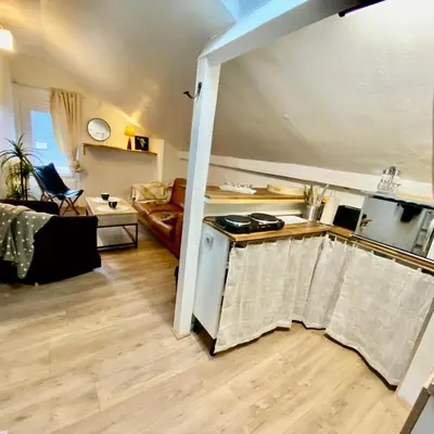 Cuisine ou kitchenette dans l'établissement Appartement cosy en plein centre-ville de Tours