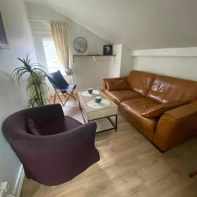Coin salon dans l'établissement Appartement cosy en plein centre-ville de Tours