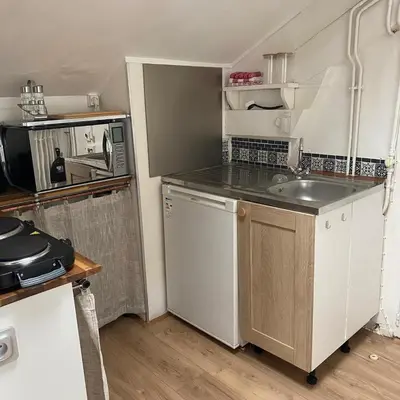 Cuisine ou kitchenette dans l'établissement Appartement cosy en plein centre-ville de Tours
