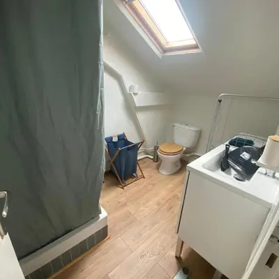 Salle de bains dans l'établissement Appartement cosy en plein centre-ville de Tours