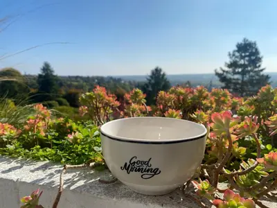 Paysage naturel près de l'appartement