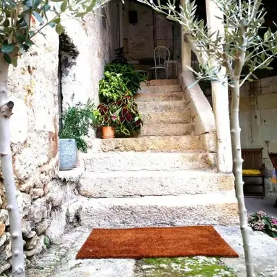 Cozy one bedroom Apartment