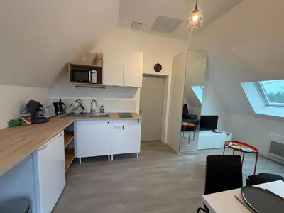 Cuisine ou kitchenette dans l'établissement Petit studio tout confort - proche Angers