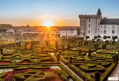Jardin de l'établissement Ma première étoile
