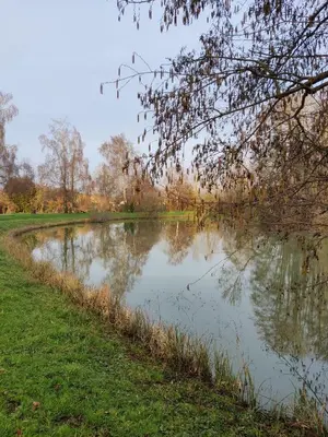 Vue sur la rivière ou le fleuve situé(e) à proximité de le B&B/chambre d'hôtes