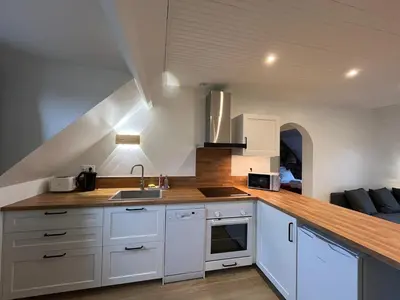 Cuisine ou kitchenette dans l'établissement Les Silex à 10 min de Beauval
