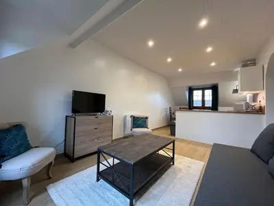 Télévision ou salle de divertissement dans l'établissement Les Silex à 10 min de Beauval