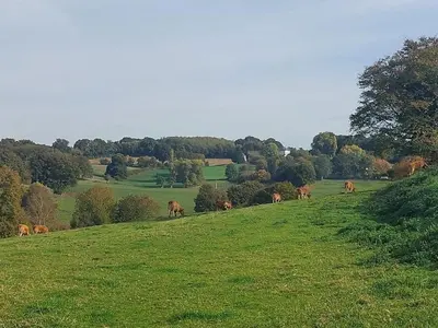 Paysage naturel près de la maison de vacances
