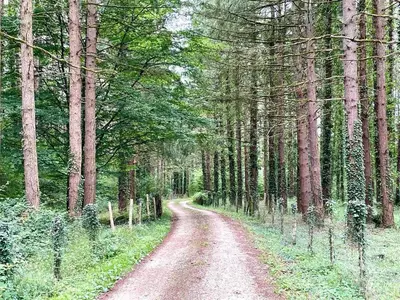 Paysage naturel près de la maison de vacances
