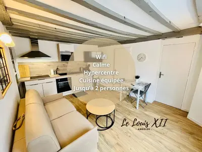 Cuisine ou kitchenette dans l'établissement Le Louis XII - Studio entre Loire et Château Royal - Manoir de la Concorde
