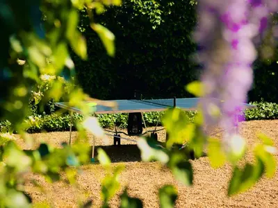 Jardin de l'établissement Gîte de luxe avec Piscine, Jacuzzi, Hammam, Animaux admis, Proche Le Mans - FR-1-410-451