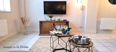 Télévision ou salle de divertissement dans l'établissement Poésie de Loire