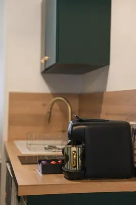 Cuisine ou kitchenette dans l'établissement Le Studio Vert