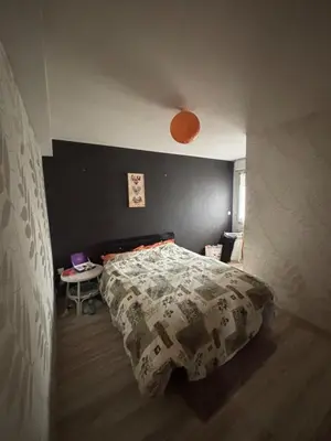 Un ou plusieurs lits dans un hébergement de l'établissement Maison Le Mans , circuit 24h