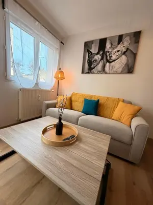 Coin salon dans l'établissement Appartement cosy au cœur du Mans Proche Centre-Ville