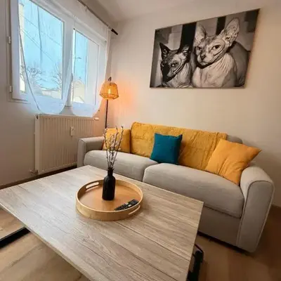 Appartement cosy au cœur du Mans Proche Centre-Ville