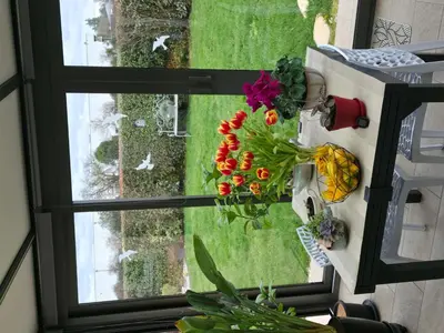 Jardin de l'établissement Chambre proche circuit 24h du mans