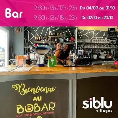 Salon ou bar de l'établissement Mobilhome proche zoo Beauval 6 à 8 places