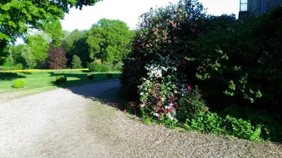 Jardin de l'établissement Le Mans - Very comfortable cottage for up to 9
