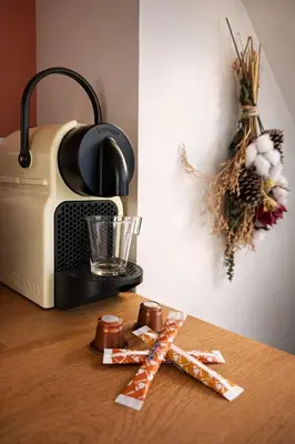 Cuisine ou kitchenette dans l'établissement Le cocon San Francisco