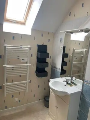 Salle de bains dans l'établissement Chat-Douillet