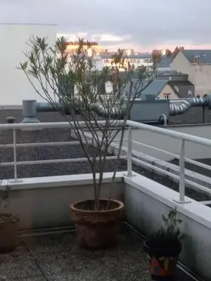 Plan de l'établissement Beau T1 calme en centre ville Parking Terrasse
