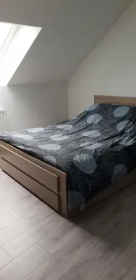 Un ou plusieurs lits dans un hébergement de l'établissement Chambre chez l'habitant 24h mans