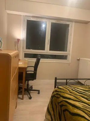 Un ou plusieurs lits dans un hébergement de l'établissement Chambre meublée et lumineuse Centre de Tours