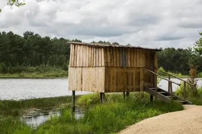 Plan de l'établissement Restored Farmhouse Near Touraine Châteaux