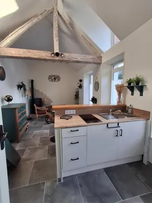 Cuisine ou kitchenette dans l'établissement Petite maison au fond du jardin